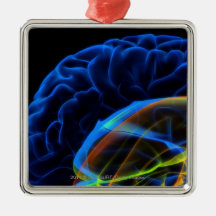 X-ray image of the brain christmas tree ornaments