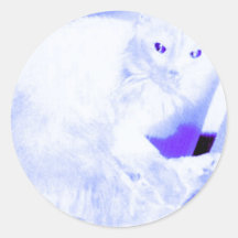 X-ray Kitty Sticker