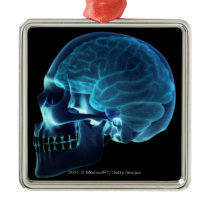 X-ray of the brain inside a skull christmas tree ornaments