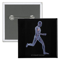 X-ray of the vascular system in a running man pinback buttons