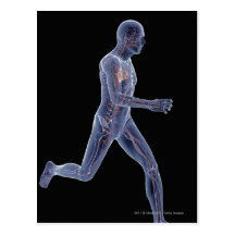 X-ray of the vascular system in a running man postcard