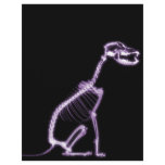 X-RAY PUPPY DOG SKELETON SITTING - PURPLE letterhead