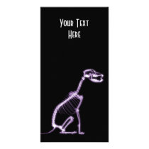 X-RAY PUPPY DOG SKELETON SITTING - PURPLE