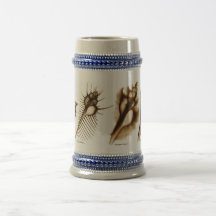X-Ray Seashell Stein with Murex shells and Fig Coffee Mugs