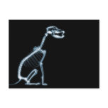 X-RAY SKELETON DOG SITTING - BLUE & BLACK POST CARD