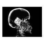 X-RAY SKELETON ON CELL PHONE BLACK & WHITE POST CARD