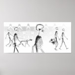 X-Ray Skeletons Afternoon Stroll Black & White Posters