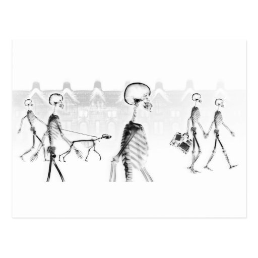 X-Ray Skeletons Afternoon Stroll Neg BW Postcard