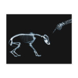 X-Ray Skeletons Bad Dog Blue
