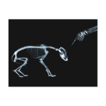 X-Ray Skeletons Bad Dog Blue