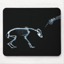 X-Ray Skeletons Blue Bad Dog