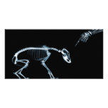 X-Ray Skeletons Blue Bad Dog Photo Greeting Card