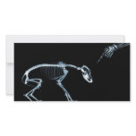 X-Ray Skeletons Blue Bad Dog Photo Greeting Card