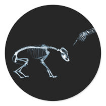 X-Ray Skeletons Blue Bad Dog