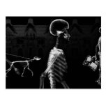 X-Ray Skeletons Midnight Stroll Black White Postcards