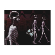 X-Ray Skeletons Midnight Stroll
