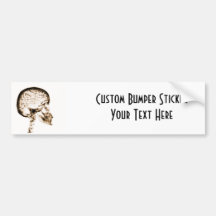 X-RAY SKULL BRAIN - ORANGE BUMPER STICKERS
