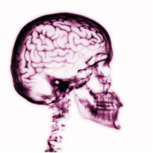 X-RAY SKULL BRAIN - PINK PHOTO CUTOUTS