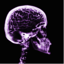 X-RAY SKULL BRAIN - PURPLE