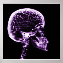 X-RAY SKULL BRAIN - PURPLE