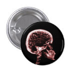 X-RAY SKULL BRAIN - RED buttons