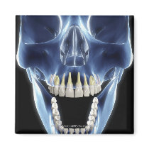 X-ray style look at human teeth magnets