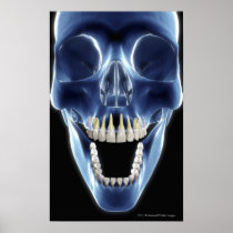 X-ray style look at human teeth print