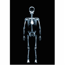 X-Ray Vision Blue Single Skeleton Photo Sculptures