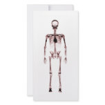 X-Ray Vision Single Skeleton White Red photo cards