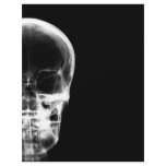 X-RAY VISION SKELETON SKULL - B&W letterhead