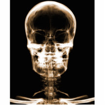 X-RAY VISION SKELETON SKULL - ORANGE PHOTO SCULPTURE