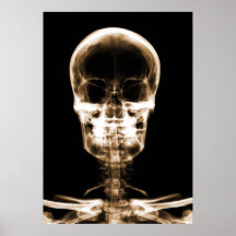 X-RAY VISION SKELETON SKULL - ORANGE PRINT