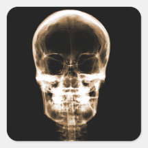 X-RAY VISION SKELETON SKULL - ORANGE SQUARE STICKER