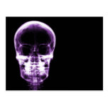 X-RAY VISION SKELETON SKULL - PURPLE POSTCARD