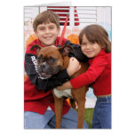 Xena - Boxer Card