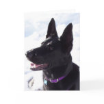 xmas1 greeting cards