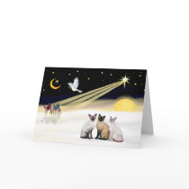 Xmas Dove / 3 Siamese cats Greeting Cards