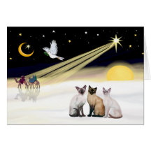 Xmas Dove / 3 Siamese cats Greeting Cards