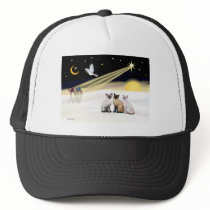 Xmas Dove / 3 Siamese cats Hats