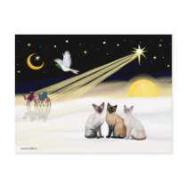 Xmas Dove / 3 Siamese cats Postcards