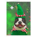 Xmas Elf Greeting Cards