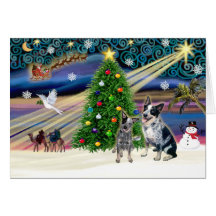 Xmas Magic-Aussie Cattle Dog pair Greeting Card