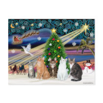 Xmas Magic - Five cats (AmSH) Postcards