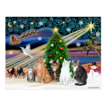 Xmas Magic - Five cats (AmSH) Postcards