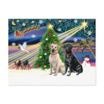 Xmas Magic-Lab Pair-Yell-Blk Post Card