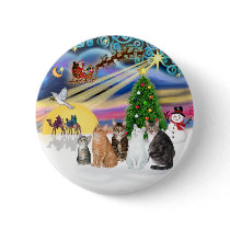 Xmas Magic (R) - Five cats (AmSH) Button