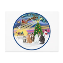 Xmas Magic (R) - Five cats (AmSH) Post Cards