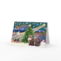 Xmas Magic - Two Maine Coon cats Greeting Cards