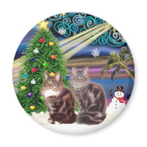 Xmas Magic - Two Maine Coon cats Fridge Magnet