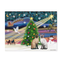Xmas Magic - Two Siazmese cats (Seal + Choc) Post Card